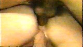 Vintage Interracial Blowjob And Doggy