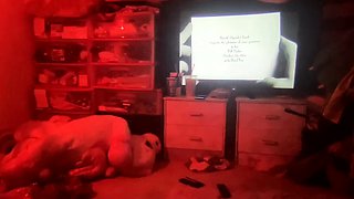 Amateur couple Hidden Cam Submissive girl