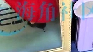 Amateur close up fucking