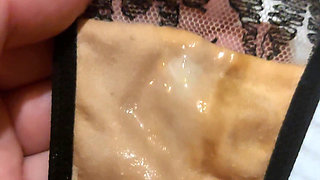 Would You Lick My Panties Clean?