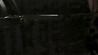 Lady Zara My Caged Human Ashtray My Human Furniture My Spittoon My Bootlicker