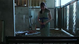 219-season-ending-who-sfs