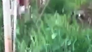 Spying blonde hooker fucking in the woods