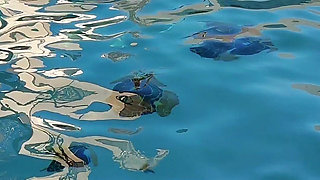 Cuckquean POV - BBW Cuckcake Fucks My Husband in Outdoor Pool While I Film Underwater