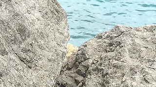 I Go with My Stepbrother to Spend the Day at the Beach and We End up Fucking Between the Rocks