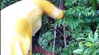 My wife fucking in forest