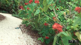 Peter Green's Shot Affair Sparks Wild Passion