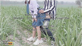 Thai Student And Sexy Thai - 4k Thai เยดuกเรยuใuไรออย รถwาuไปมาโคตรเสยว แตกใสnuาเตมๆ