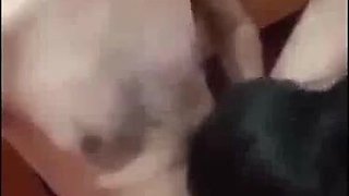 Viral Recent Indian fuckfest Vid