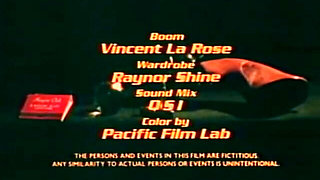 Classic Porn Dvds: Blonde Fire: Part 6