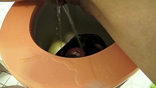 toilet slave training