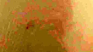 She Was Accused of Taking Jewelry, Strip Seached by Coach