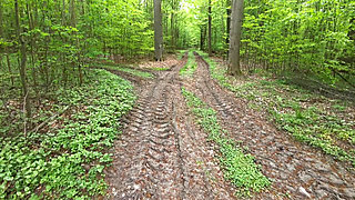 After Slapping Your Tits Let Me Punish Your Vagina