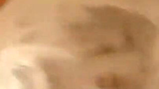 I Fuck This French Bitch Cause She Needs Money to Pay C
