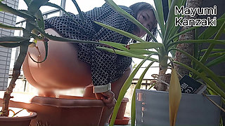 I Pee in the Potted Plant Again