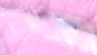 Pink Foxx Giving Kisses