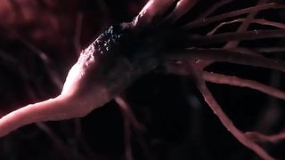 Parasited Alecia Fox Bunny Brownie And Clemence Audiard Bad