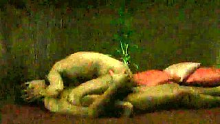 Brunette Gets Nice Sex