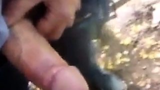 Daddy's Blowjob Lesson