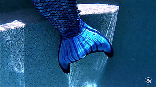 Swimming with a Mermaid