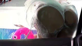 Big assed busty tit fuck and blowjob from curvy stunner