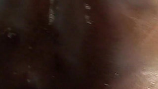 Untamed in the Treetops