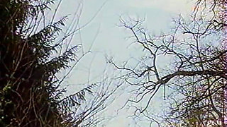 The Clinic of Fantasies 1980