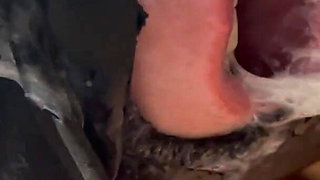 My Mouth Offered for Deep Throat and Get Filled with Cum Like a Whore