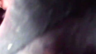 Black Nylon Apocalypse