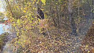 I pulled down my pants and went for a walk along the autumn road
