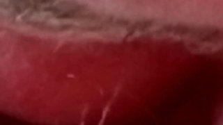 Fuck the Old Nylon Feet and the Old Nylon Cunt