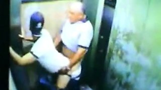 Daddy Bear and his Young Cub Caught on Camera