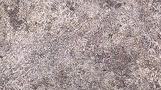 Sukant Fucks His Wife Very Hard at Swiming Pool and Recorded and Viral Her Video